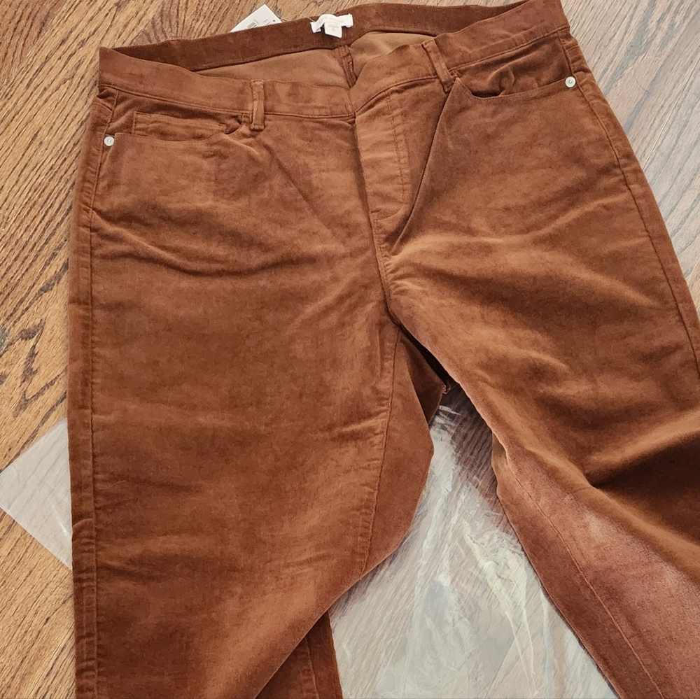 NWT Carob corduroy pants from J Jill